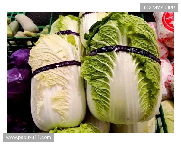 全面解析白菜论坛大全：各大论坛资源汇总与推荐